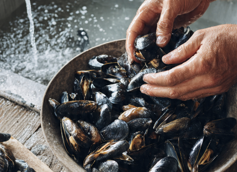 Soupe de Moules à la Française_1